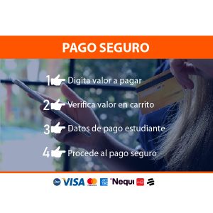 Pago en Linea